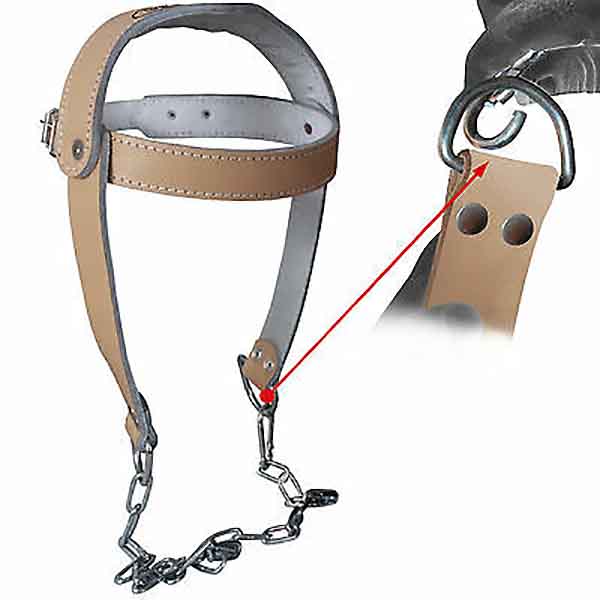Head Harness (1)